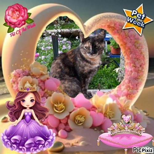 Caramel of the Didi family