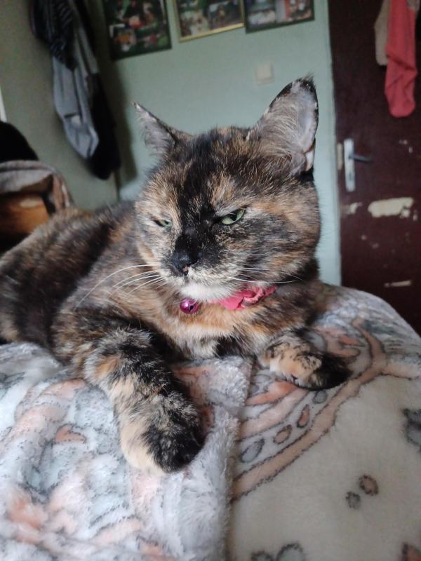 Didi uploaded   2  day/s  ago