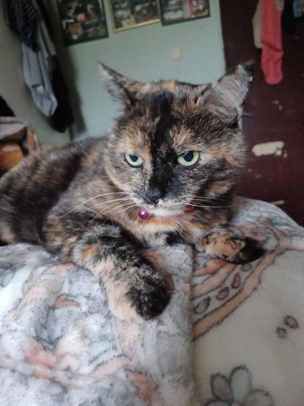 Didi uploaded   2  day/s  ago