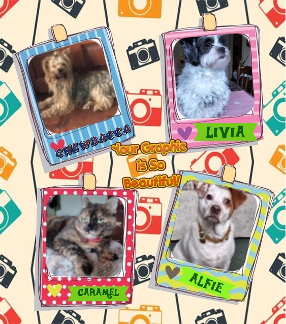 Caramel of the Didi family