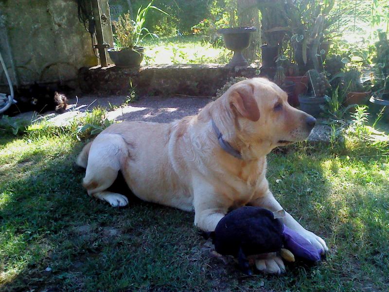 Didi uploaded   9 year/s ago