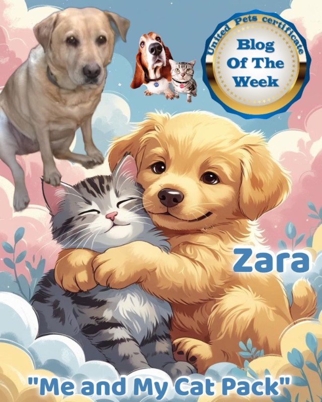 Zara of the Didi family