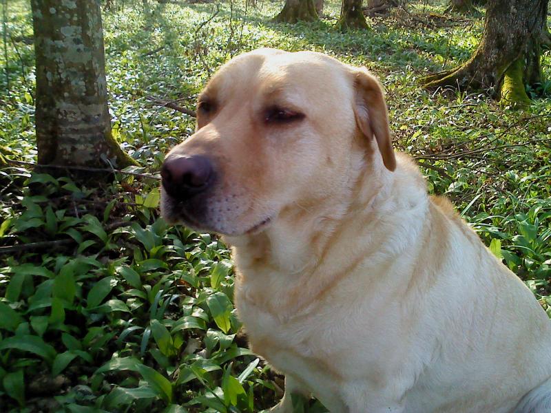 Didi uploaded   11 year/s ago