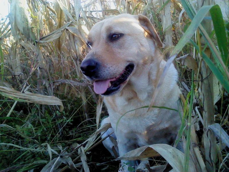 Didi uploaded   11 year/s ago