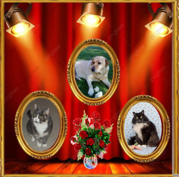 Zara of the Didi family