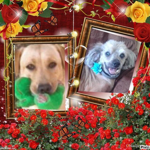 Didi uploaded   27  day/s  ago