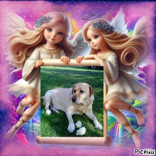 Zara of the Didi family