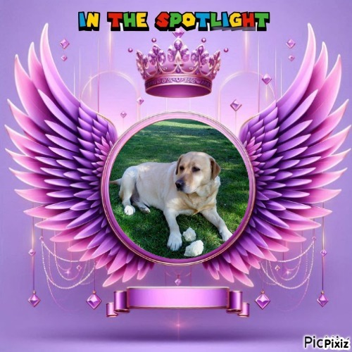 Zara of the Didi family