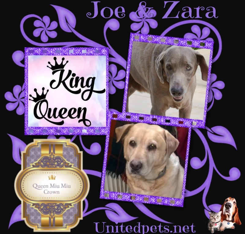 Zara of the Didi family