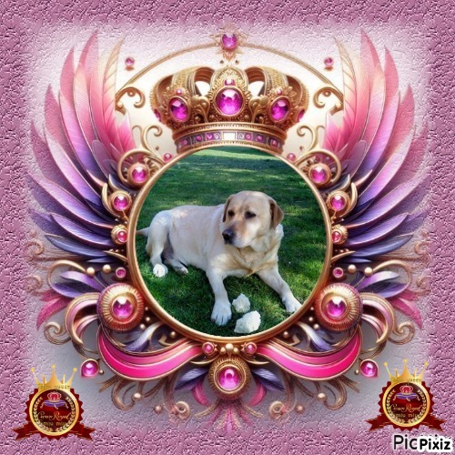 Zara of the Didi family