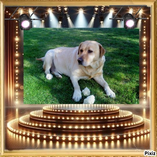 Zara of the Didi family