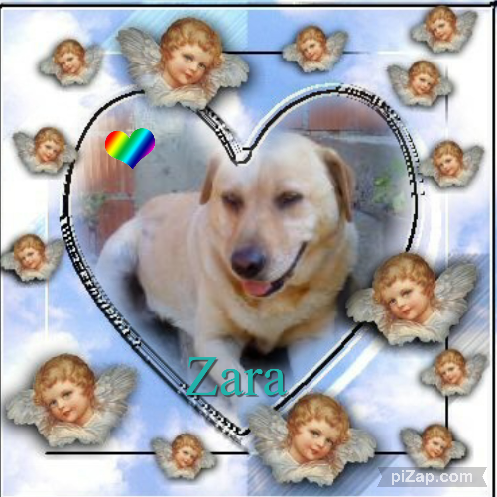 Zara of the Didi family