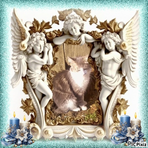 Misel of the Didi family