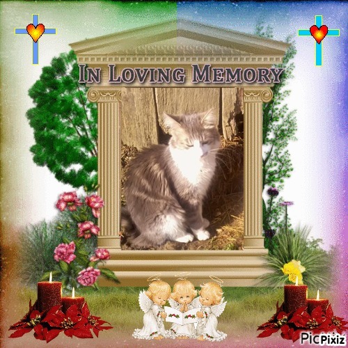 Misel of the Didi family