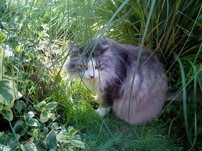 Didi uploaded   10 year/s ago