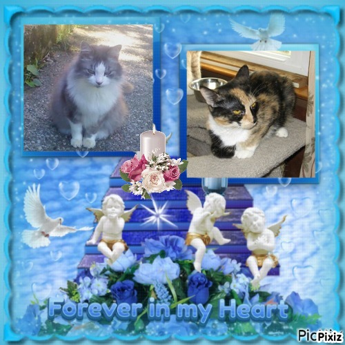 Cici of the Didi family