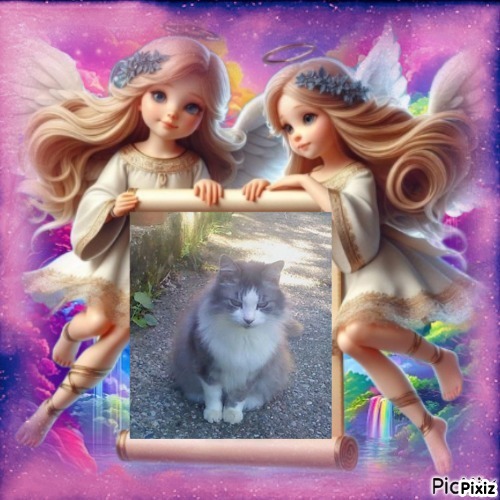 Cici of the Didi family