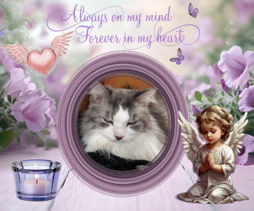 Cici of the Didi family