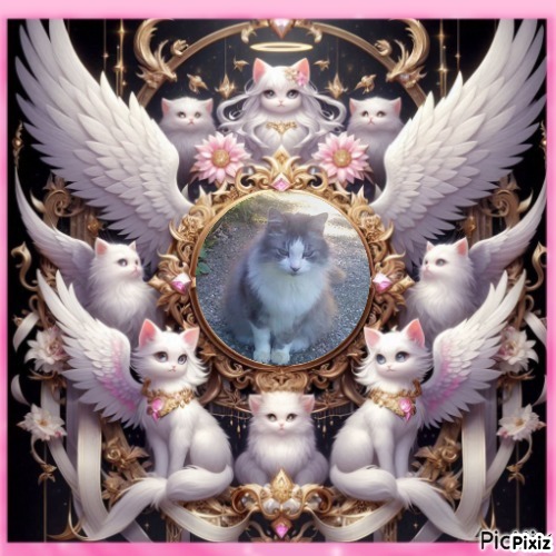 Cici of the Didi family