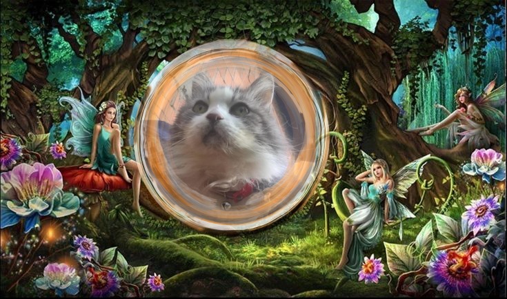 Cici of the Didi family