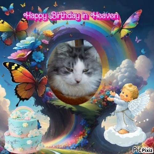 Didi uploaded   1 year/s ago