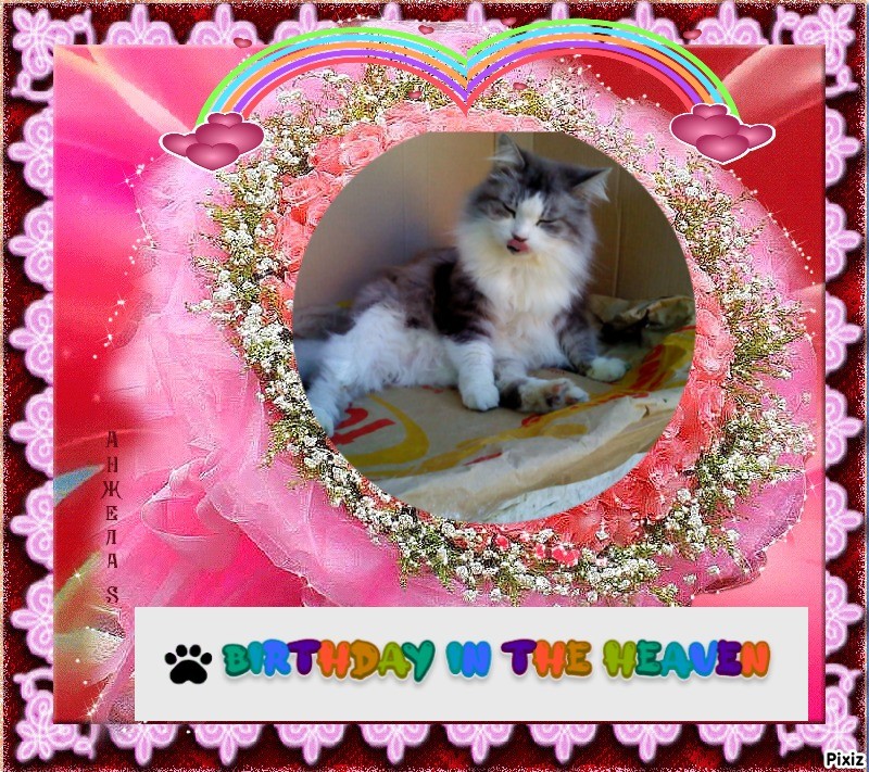 Cici of the Didi family