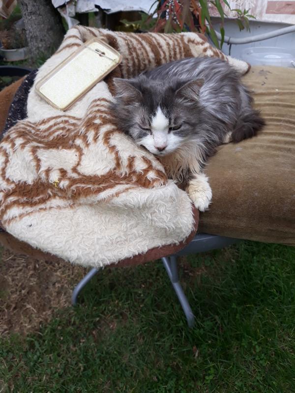 Didi uploaded   208  day/s  ago