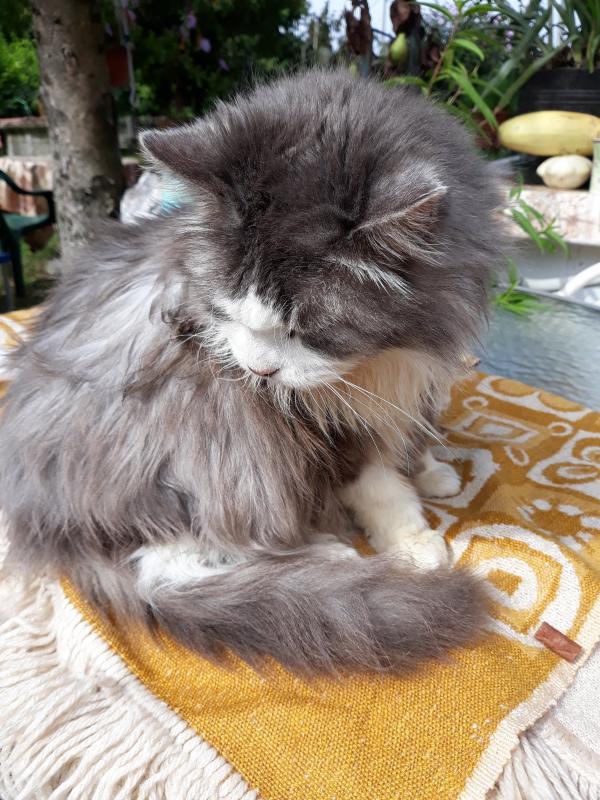 Didi uploaded   208  day/s  ago