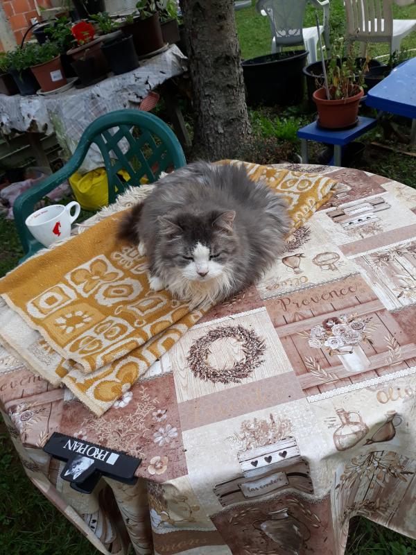 Didi uploaded   208  day/s  ago