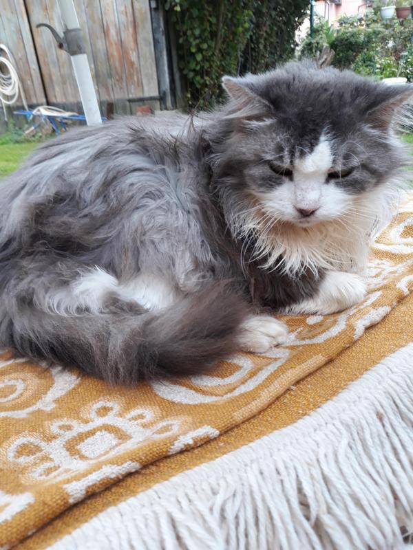 Didi uploaded   208  day/s  ago