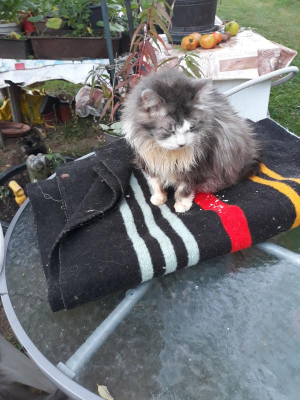 Didi uploaded   208  day/s  ago