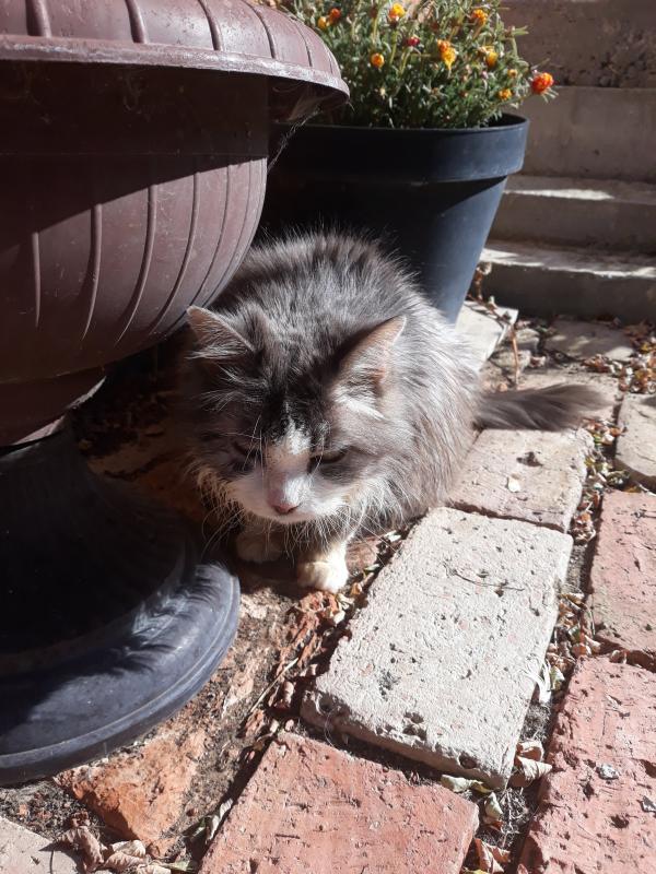 Didi uploaded   208  day/s  ago