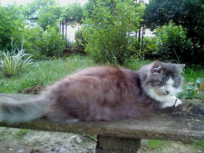 Didi uploaded   10 year/s ago