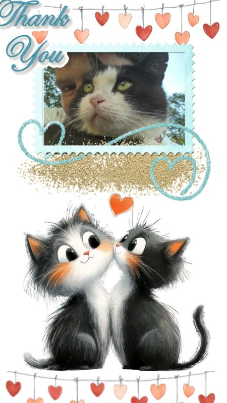 Tom of the Didi family