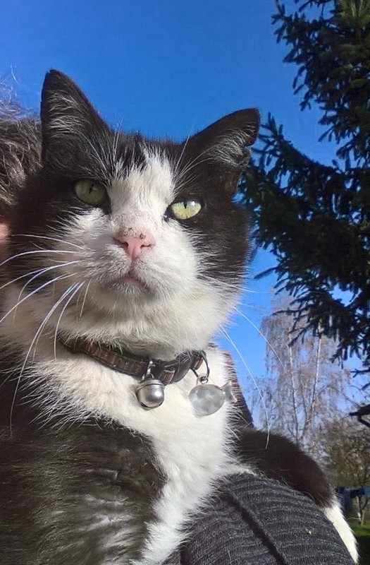 Didi uploaded   8 year/s ago