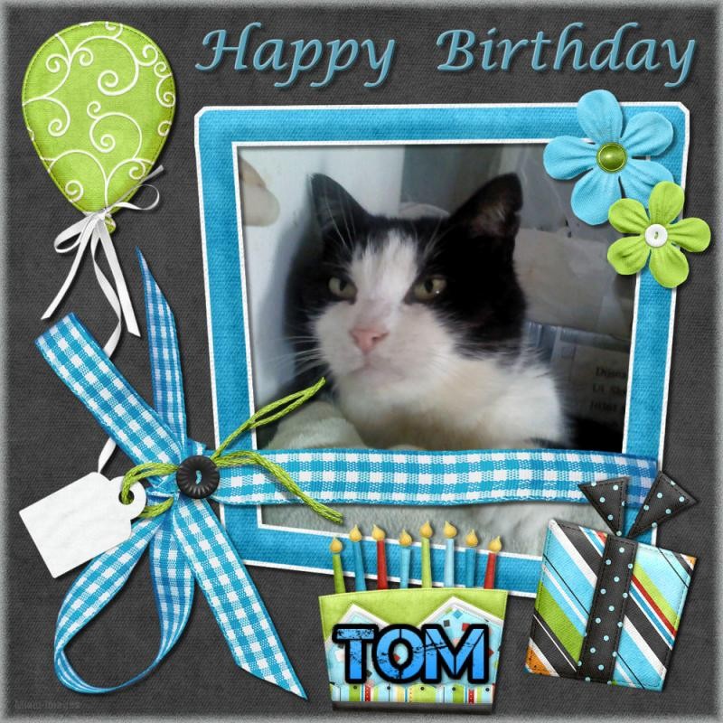 Didi uploaded   1 year/s ago