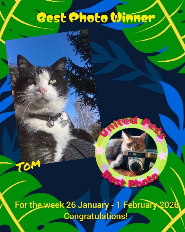 Didi uploaded   84  day/s  ago