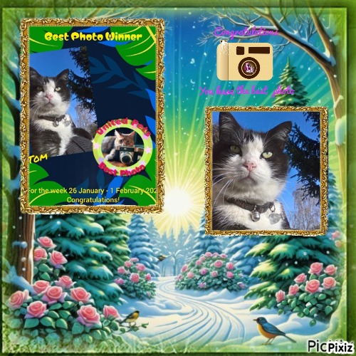 Didi uploaded   84  day/s  ago