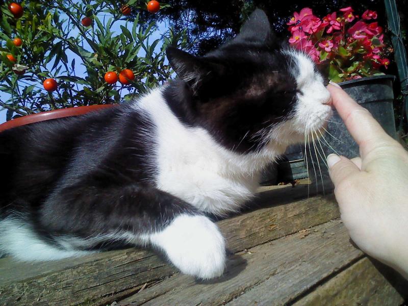 Didi uploaded   11 year/s ago