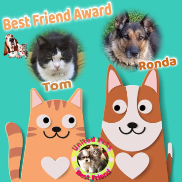 Didi uploaded   8  day/s  ago