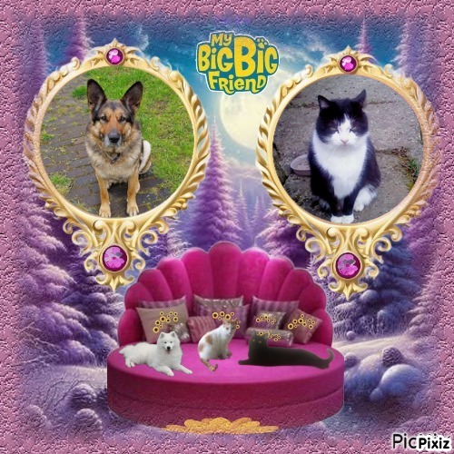 Didi uploaded   8  day/s  ago