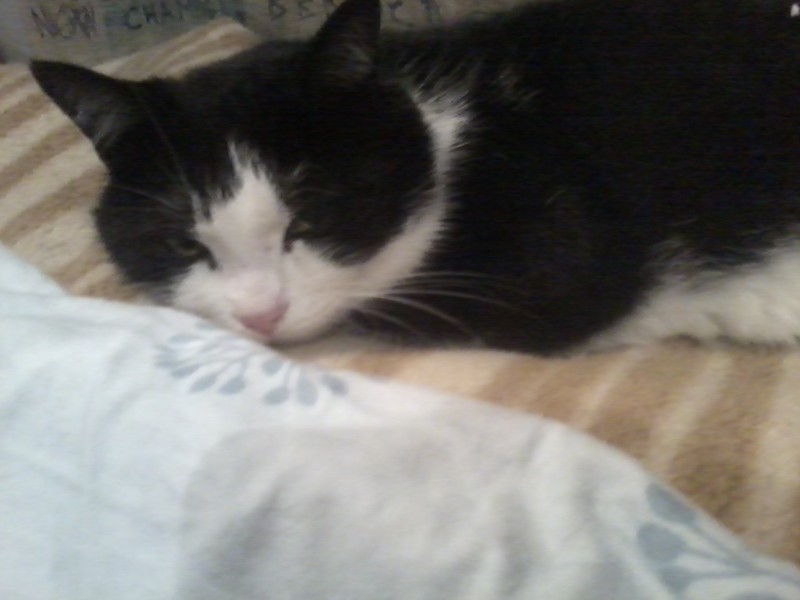Didi uploaded   1 year/s ago