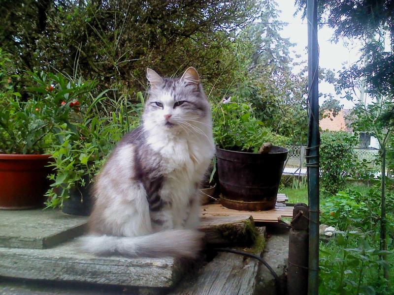 Didi uploaded   9 year/s ago