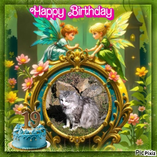 Tinny of the Didi family