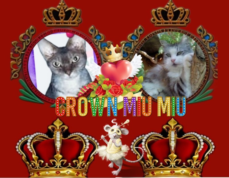 Tinny of the Didi family