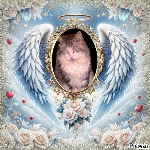 Tinny of the Didi family