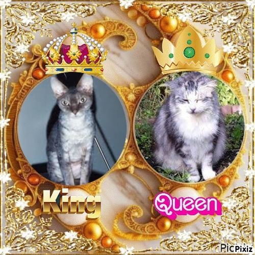 Tinny of the Didi family