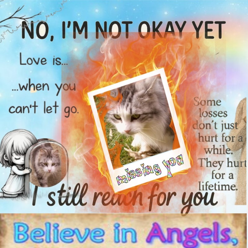 Tinny of the Didi family