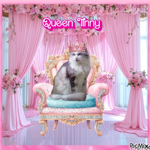 Tinny of the Didi family