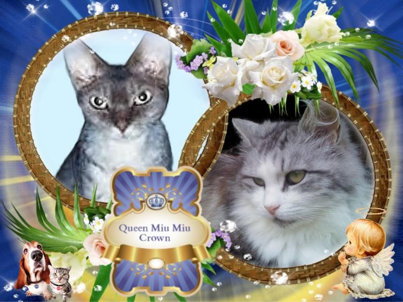 Tinny of the Didi family